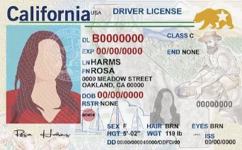 A sample California Driver License template displaying placeholder information and a photo of a woman with long dark hair.