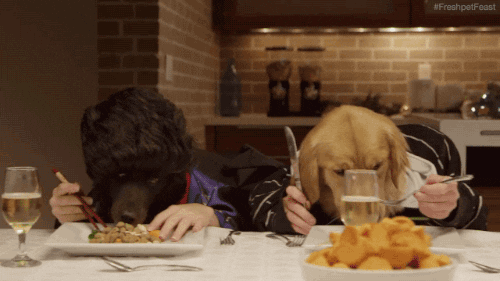 Two people wearing dog head costumes sit at a dinner table eating a meal with utensils.