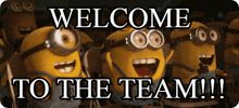 Animated Minion characters from the Despicable Me franchise cheer together beneath a "Welcome to the Team!!!" banner.