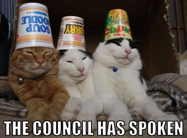 Three cats wearing small food cups as hats sit together with eyes half-closed, with the caption "THE COUNCIL HAS SPOKEN" at the bottom.