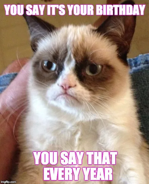 A grumpy-looking cat with a frowning expression is held by a person, with birthday meme text overlaid reading "You say it's your birthday, you say that every year.